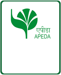 APEDA Logo